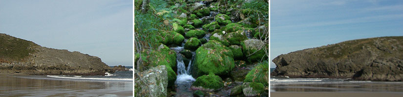 Imágenes Asturias