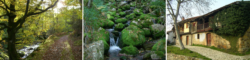 Imágenes Asturias