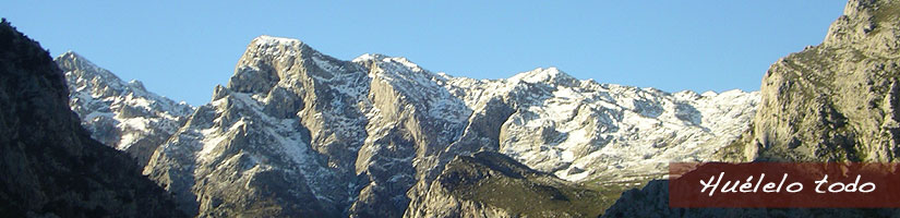 Imágenes Asturias