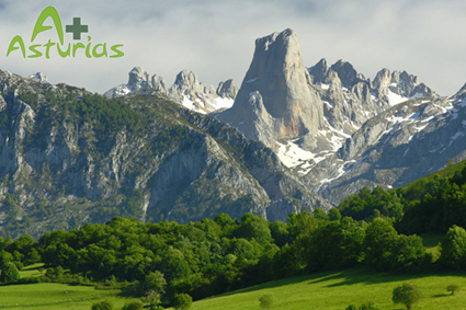 Picos de Europa