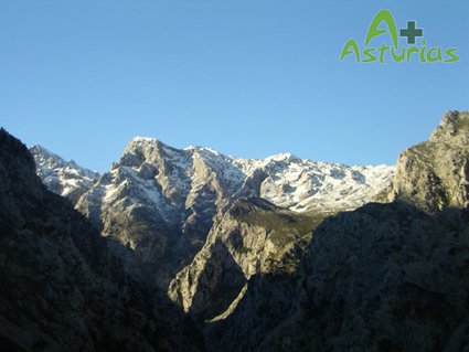 Picos de Europa