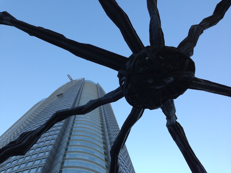 Araña al atardecer