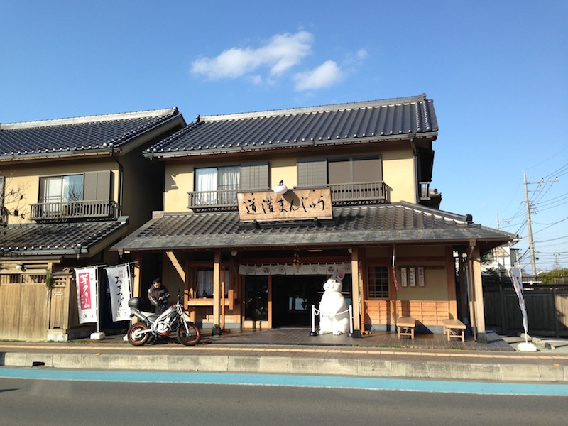 Tienda con conejo gigante