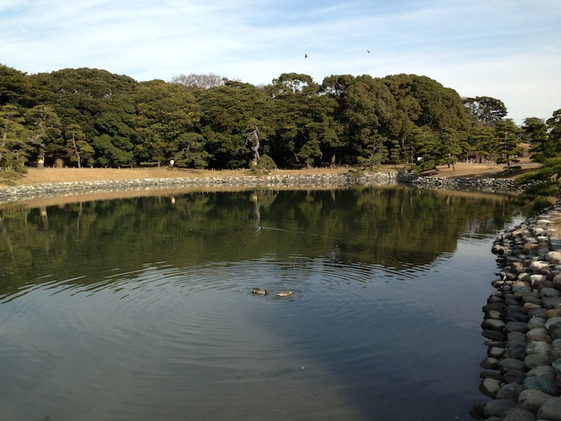 Jardines de Hamarikyu
