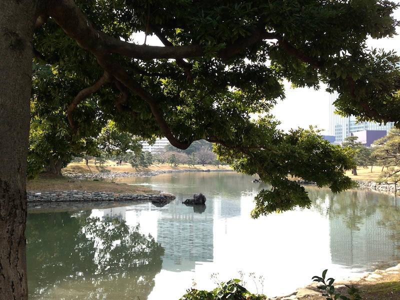 Jardines de Hamarikyu