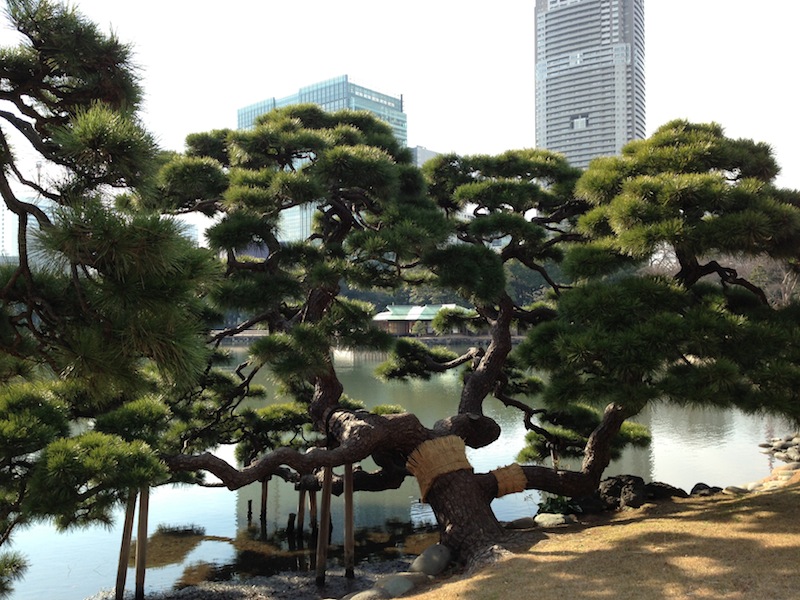 Casa de té en los jardines de Hamarikyu