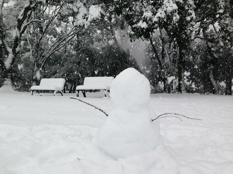 Muñecos de nieve en el parque Yoyogi