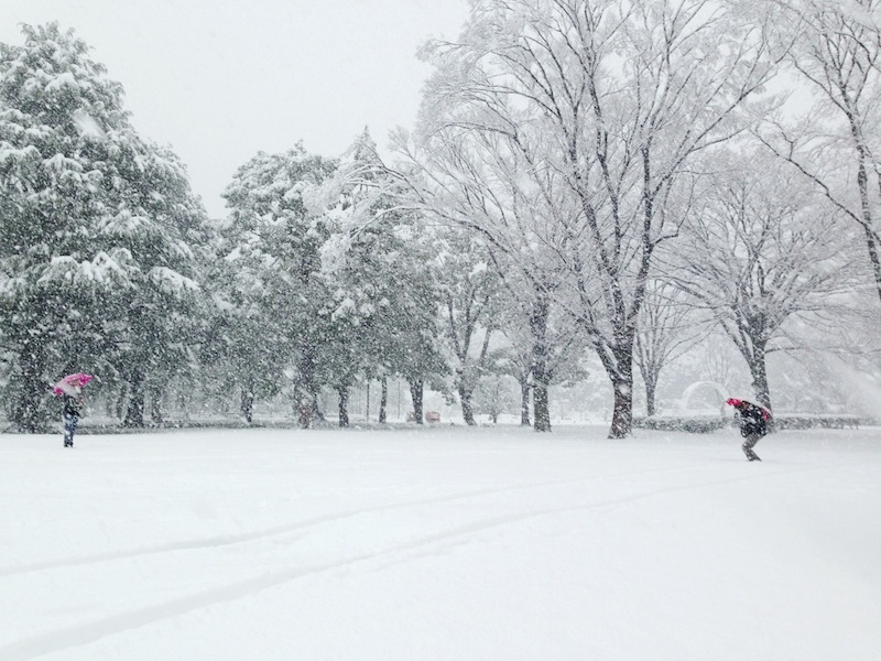 Parque de Yoyogi con nieve