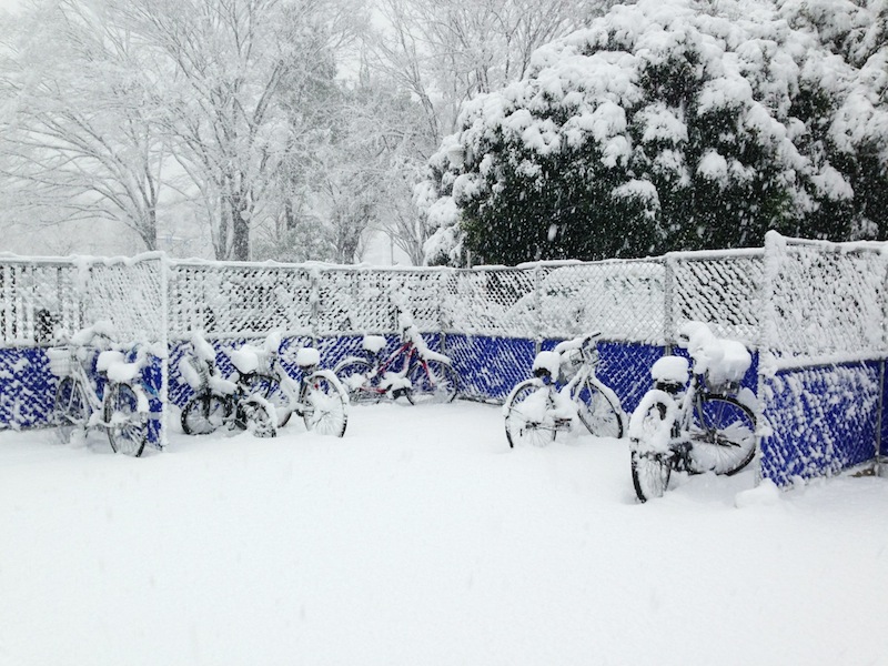 Bicis a la entrada del parque Yoyogi