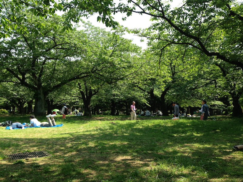Yoyogi