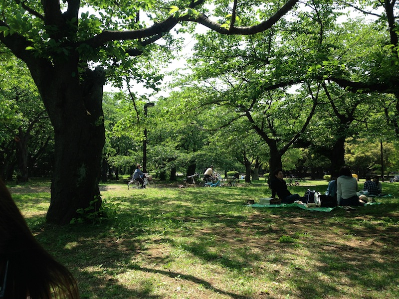 Yoyogi