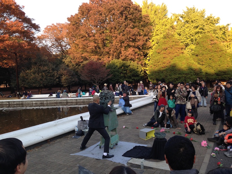 Árboles en otoño en Yoyogi