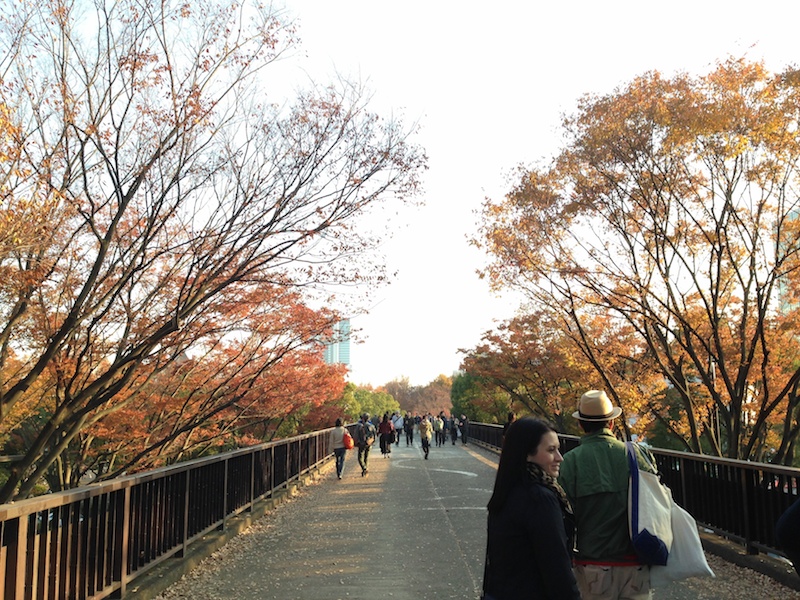 Árboles en otoño en Yoyogi