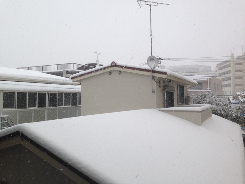 Casas cubiertas de nieve
