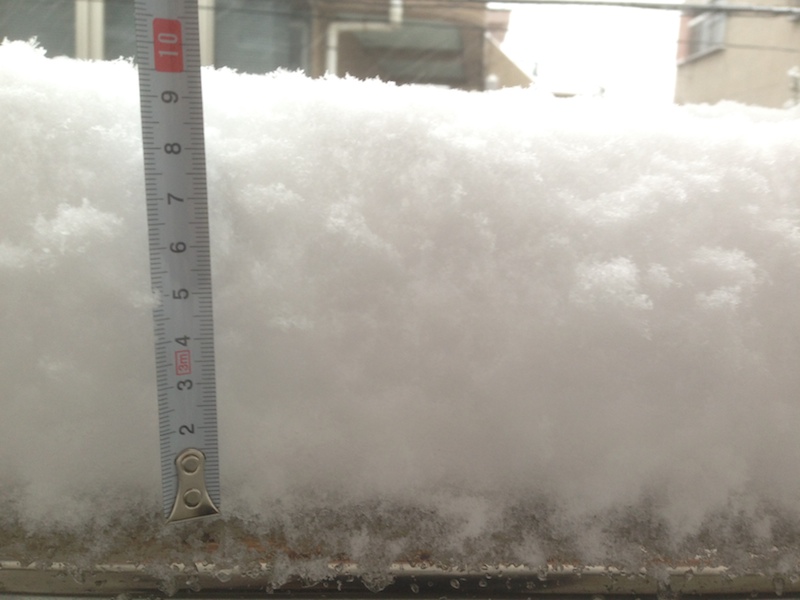 Nivel de la nieve