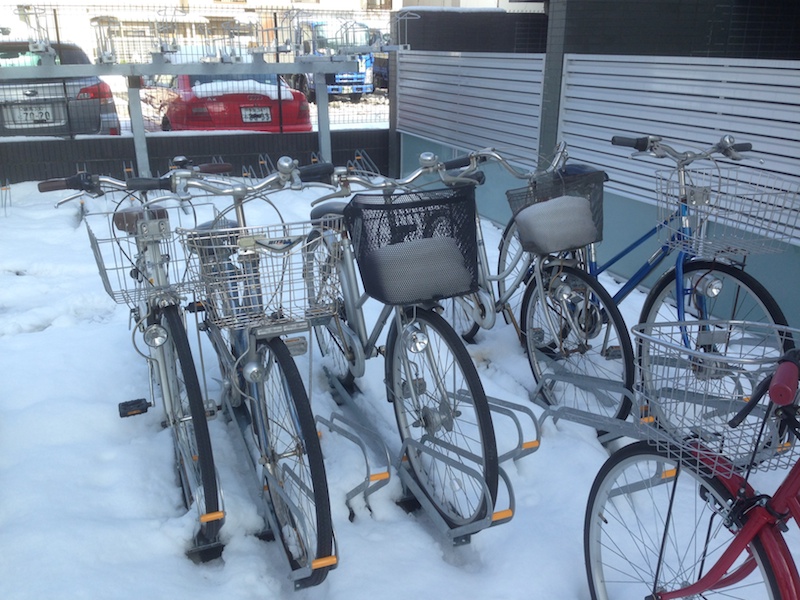 Día después de la nieve en Tokio