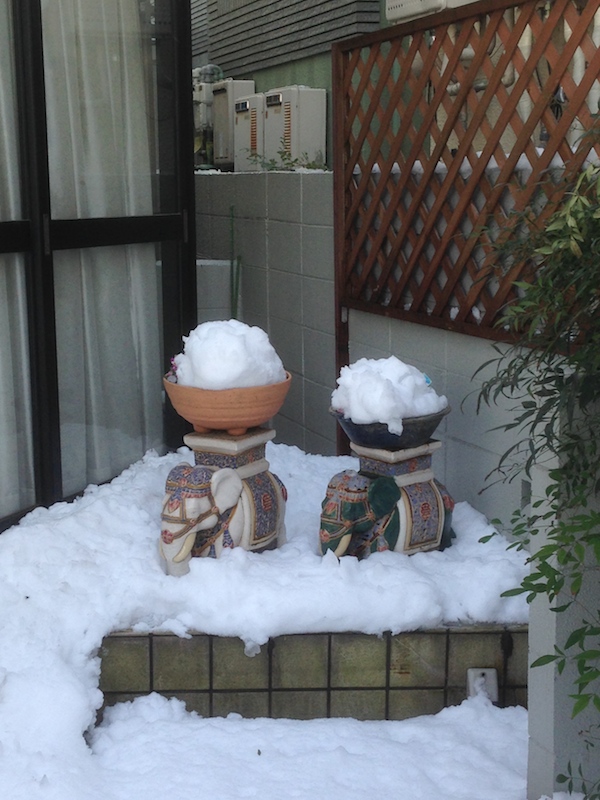 Día después de la nieve en Tokio